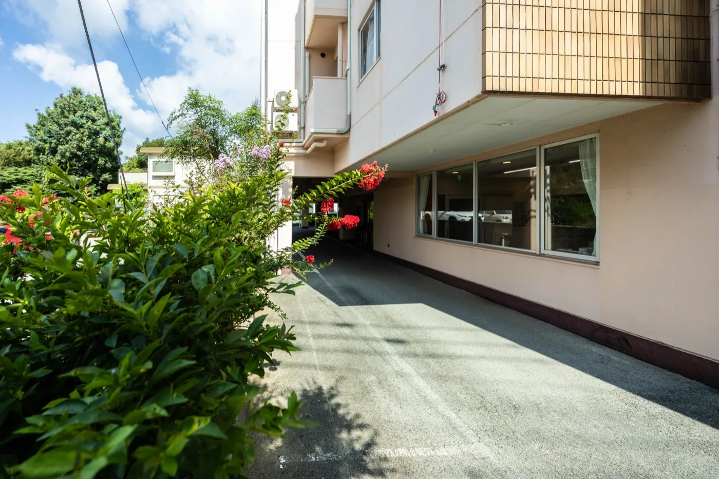 株式会社シルキーの建物わきのアプローチと植栽
